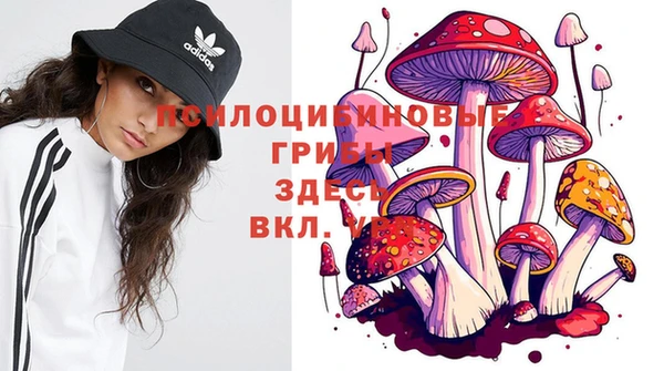 меф Краснотурьинск