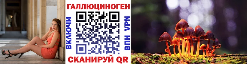 omg как войти  Озёры  Псилоцибиновые грибы GOLDEN TEACHER 